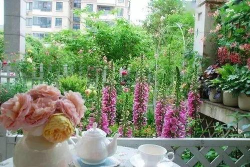 成人花园种花好吗视频大全,成人花园种花技巧与创意视频集锦