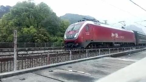 成人做的火车视频,成人视角下的温馨瞬间